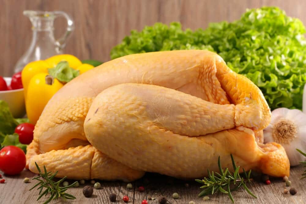 Risks Associated with Raw Meat Diet for Cats