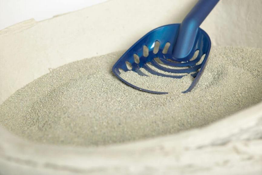 Cat Litter Box Cleaning